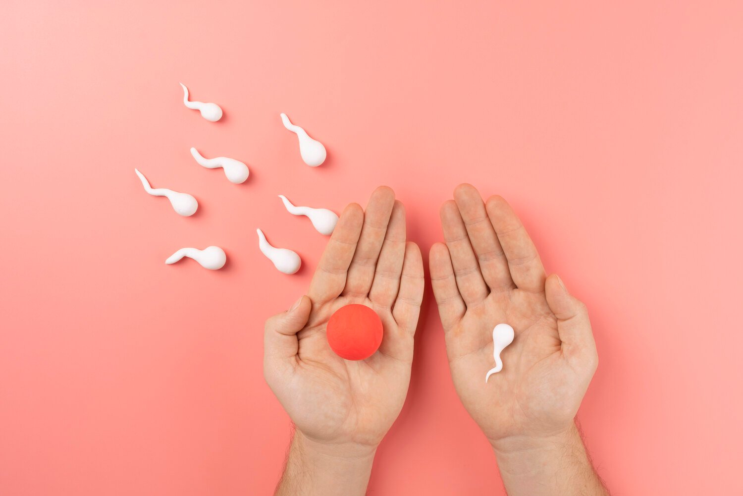 辅助生殖进展硕士 - 精子游向卵子展示人类受精过程与辅助生殖核心技术 - ISEIE中国