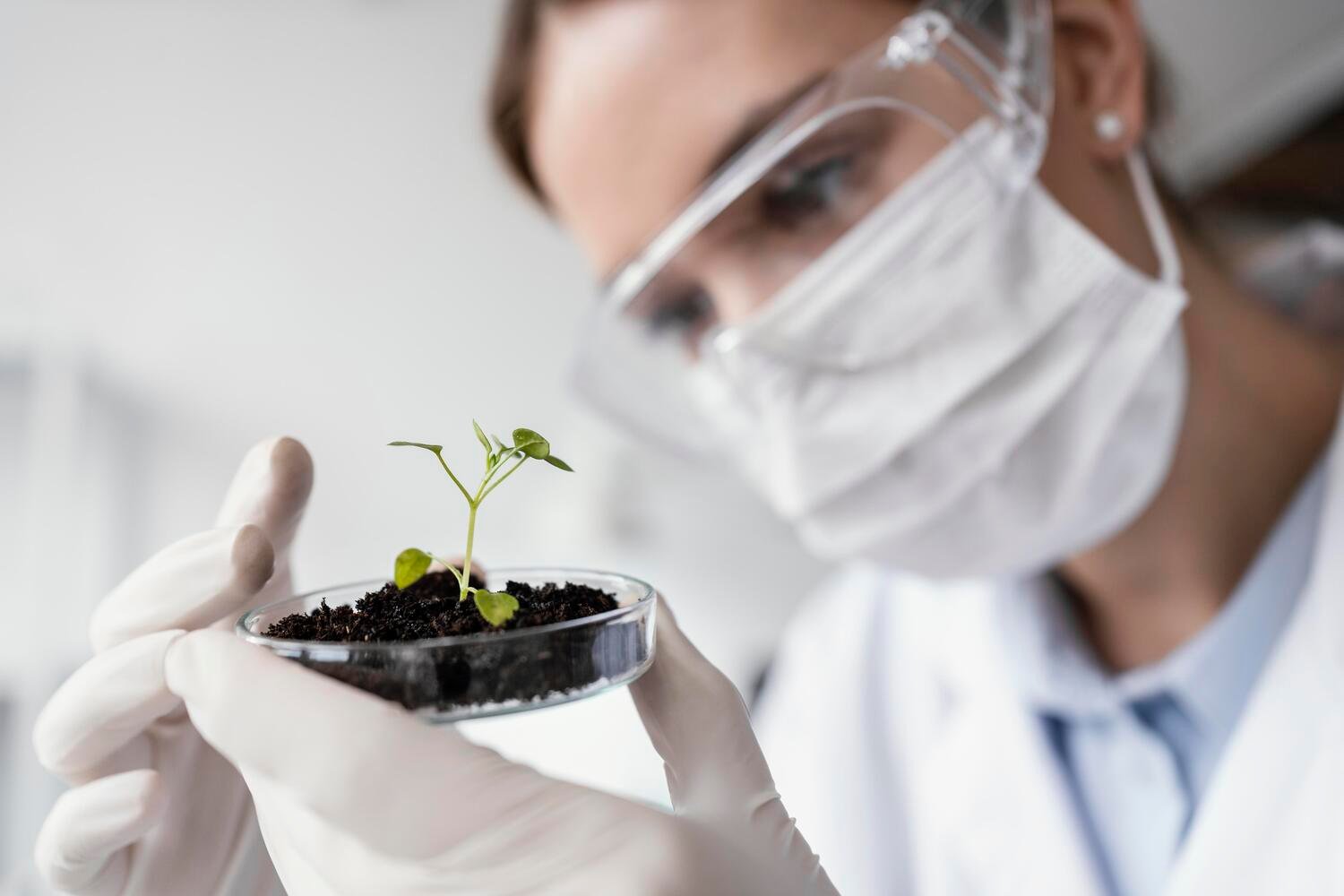 生命伦理学课程 - 科学家研究植物展示生态伦理与自然资源保护道德议题 - ISEIE中国